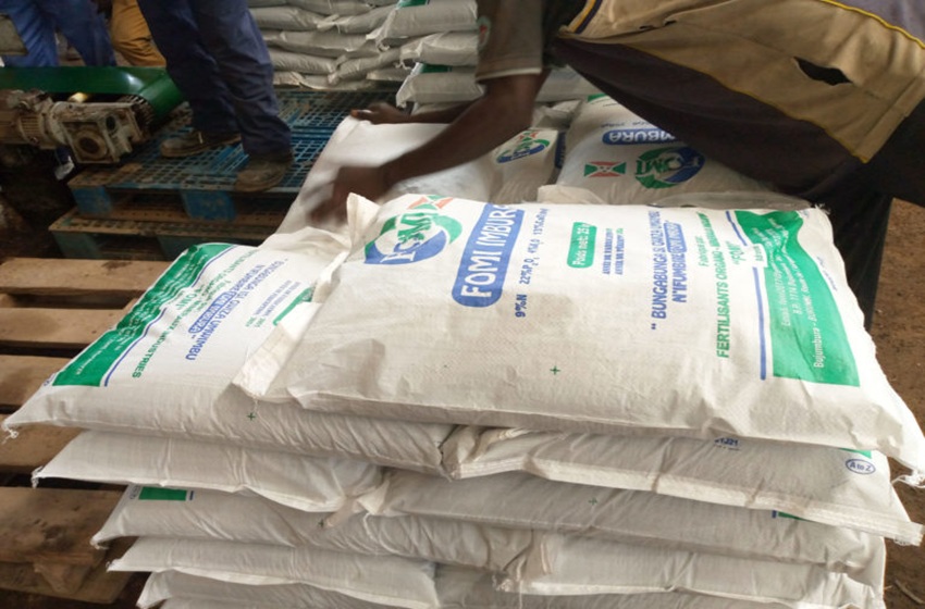  « Oui » ou « Non » pour l’engrais : à Muramvya, l’agriculture soumise à la loterie